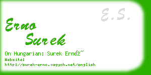 erno surek business card